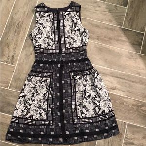 Navy and White Vince Dress